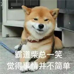 功夫好的都做了这一行随时街斗