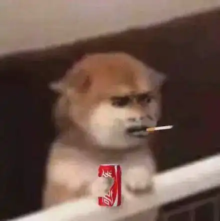 大学生炒鞋诈骗137万被判10年,弱智网友还心疼判重了