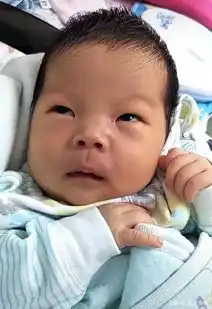 新生宝宝嫌弃的小眼神火了,从行为学角度分析,宝宝的五种表情包
