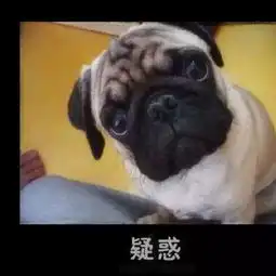 我只在乎你