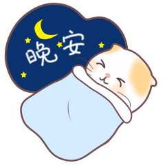 这宁静的夜晚,寄上我温馨的祝福,晚安