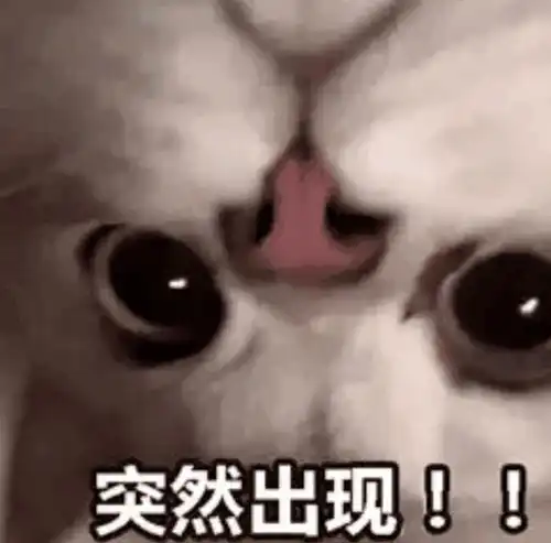 围观集民主高效等优点为一身的竟是