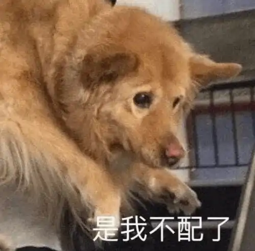 现在的番茄这么难吃,就没人管管吗