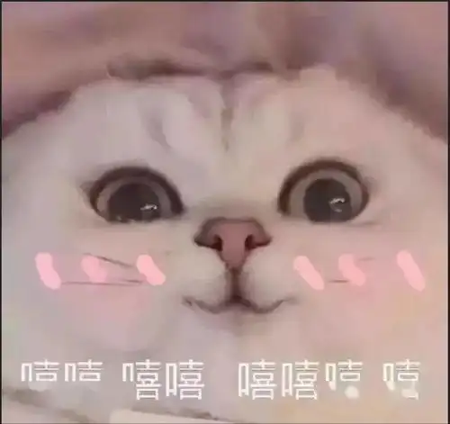 土拨鼠叫表情包视频嘻嘻