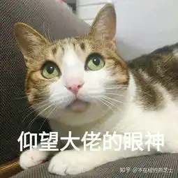 为什么说金希澈是sm最自由的存在