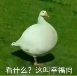 肌肉鹅表情包