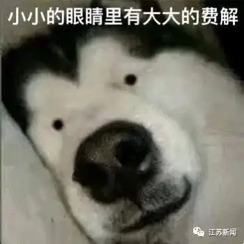 紧急辟谣仪征人不要再传了
