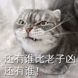 海棠未雨备受追捧的真正原因其实是它的