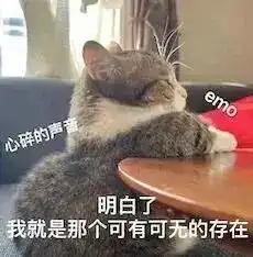 猫咪表情包宝,你实在过分冷漠,泪已打湿我的世界