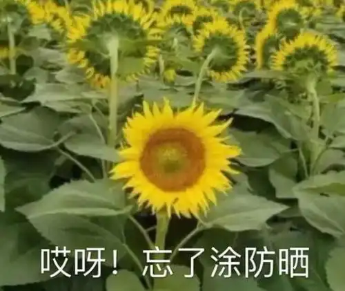 对象生气怎么哄表情包向