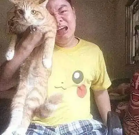 男子失恋了,整日在家抱着猫咪哭鼻子,几天后不负众望进了医院