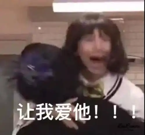 猫咪偷偷抹把泪表情包考