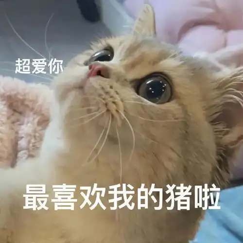 套路对象表情包