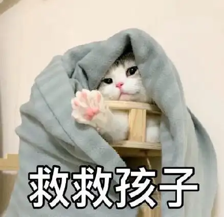 放炮的图片表情包大全宝