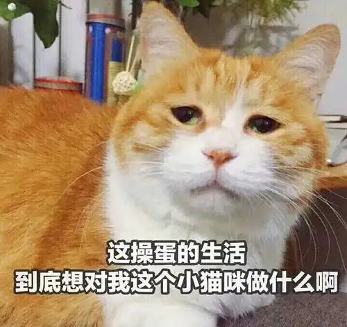 啊啊啊啊啊啊啊啊啊啊