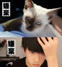 乐在分享