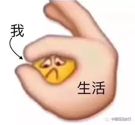 重磅长达5个月,免费游西藏的机会来了