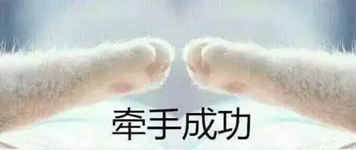 猫猫头表情包爪子