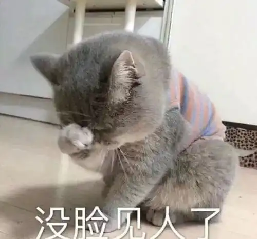 感动哭怎么可能,喵星人是没有感情的吃饭机器好吗