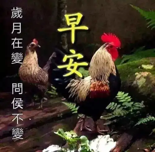 3月23日初春清晨慰问大家早上好图片全集好看的早上好表情包带祝福语