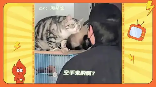 当猫咪第一次见主人的男朋友,它们的表情可以脑补一万句内心os