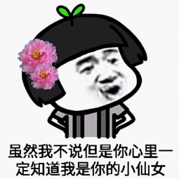 宠小仙女的表情包