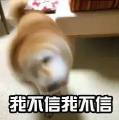 好奇害死猫一乘客因好奇误放飞机滑梯,十几万没了