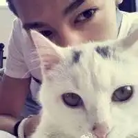 韩漫男生抱猫头像微信头像图片大全