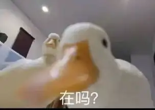 你是钢铁直男表情包试探