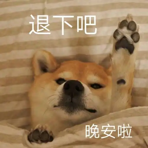 晚安表情包搞笑说晚安