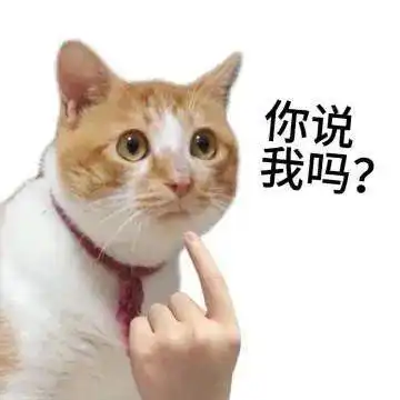 哎呀,栽了丨第806期喵表情包