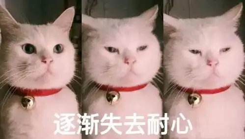 到底什么样的礼物,才能讨直男们的欢心