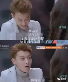 商务范谈判官男主黄子韬真真儿的是酷炫狂拽富二代