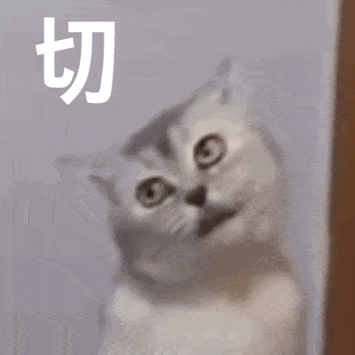 阴阳怪气猫猫表情包