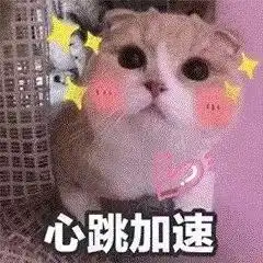 表情包有了男朋友和猫