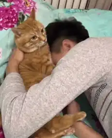 男子抱着橘猫睡觉,小家伙刚开始很安静,随后让男子泪奔