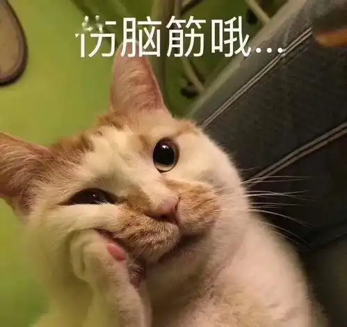 fm1004一年内口罩还是摘不掉