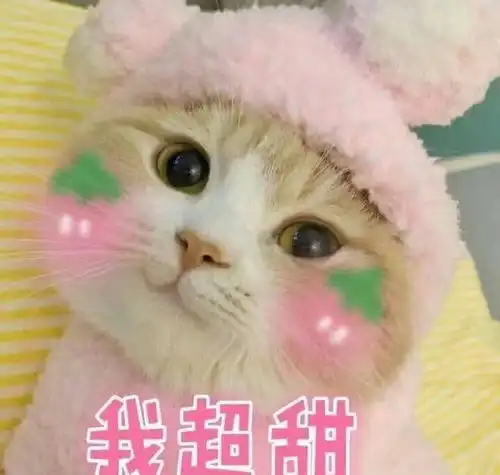 好家伙这几支口红,才是今年夏季的显白潜力股