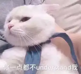 疯抢真1080p定制音响,挑战国产性价比极限的最强投影