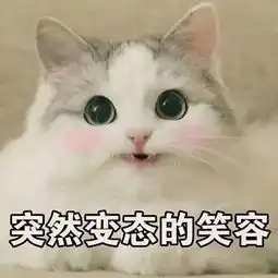 学生会招新天青色等烟雨,而我在等你