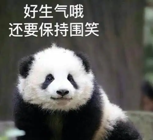 笑表情包熊猫头大熊猫