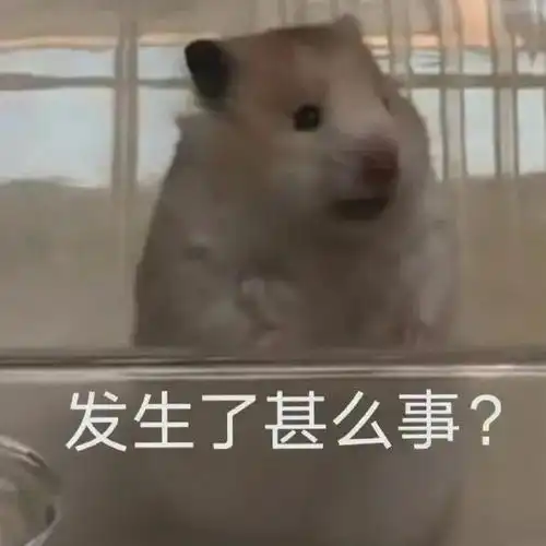 沙雕表情包我只是一个老实人