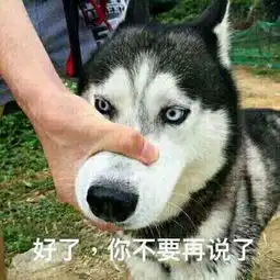 给女朋友发的表情包跟我混吧,有我一口饭吃就有你一个碗刷