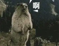 今天,我的想法成真了