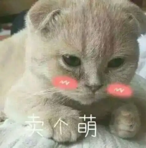 猫咪偷偷抹把泪表情包韵