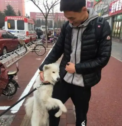 男生抱萨摩耶头像交警