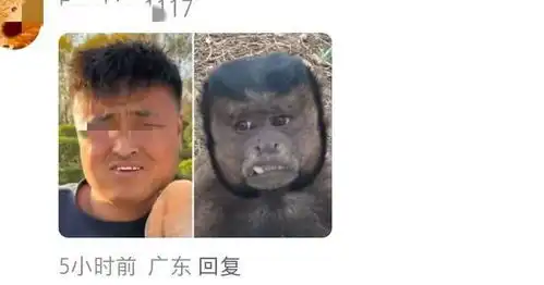 猴子图片搞笑表情包人脸