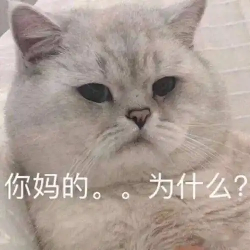 白天极限挑战,晚上挑战极限罗志祥,你可真行