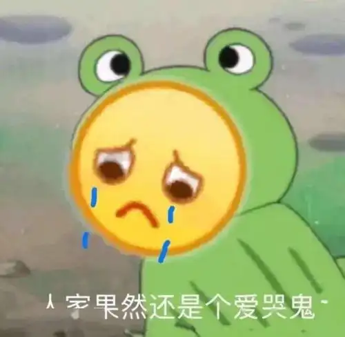 表情包没心没肺快乐加倍