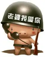 求钢盔小猪表情